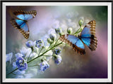 Schmetterling 5d Diy Diamond Painting Diamant Malerei Set PX5424652