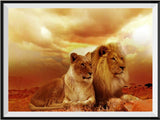 Löwe 5d Diy Diamond Painting Diamant Malerei Set PX577104