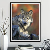 Wolf 5d Diy Diamond Painting Diamant Malerei Set PX62898