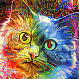 Katze 5d Diy Diamond Painting Diamant Malerei Set PX6586888