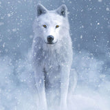 Wolf 5d Diy Diamond Painting Diamant Malerei Set RF112625982
