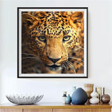 Leopard 5d Diy Diamond Painting Diamant Malerei Set SS106640027