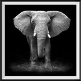 Elefant 5d Diy Diamond Painting Diamant Malerei Set SS129316361