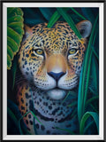 Leopard 5d Diy Diamond Painting Diamant Malerei Set SS1734704903