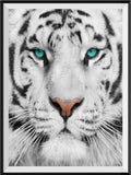 Tiger 5d Diy Diamond Painting Diamant Malerei Set SS1742088326