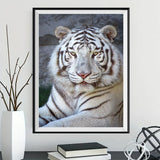 Tiger 5d Diy Diamond Painting Diamant Malerei Set SS1885610284