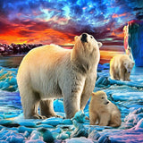 Bär 5d Diy Diamond Painting Diamant Malerei Set SS1926741950