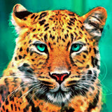 Leopard 5d Diy Diamond Painting Diamant Malerei Set SS1949638927