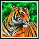 Tiger 5d Diy Diamond Painting Diamant Malerei Set SS2005769393
