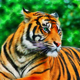 Tiger 5d Diy Diamond Painting Diamant Malerei Set SS2005769393