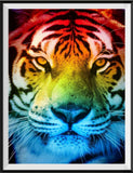Tiger 5d Diy Diamond Painting Diamant Malerei Set SS483602665