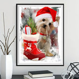 Hund 5d Diy Diamond Painting Diamant Malerei Set SS532537987
