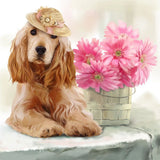 Hund 5d Diy Diamond Painting Diamant Malerei Set SS544809625