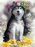 Hund 5d Diy Diamond Painting Diamant Malerei Set SS544809631