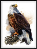 Adler 5d Diy Diamond Painting Diamant Malerei Set SS638057401