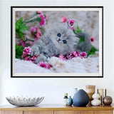 Katze 5d Diy Diamond Painting Diamant Malerei Set VM0037
