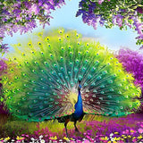 Pfau 5d Diy Diamond Painting Diamant Malerei Set VM1040