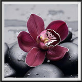 Blume 5d Diy Diamond Painting Diamant Malerei Set VM4197