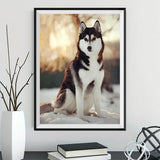 Hund 5d Diy Diamond Painting Diamant Malerei Set VM8620