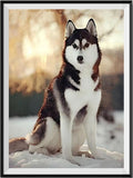 Hund 5d Diy Diamond Painting Diamant Malerei Set VM8620