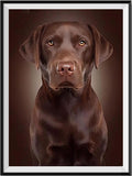 Hund 5d Diy Diamond Painting Diamant Malerei Set VM9611