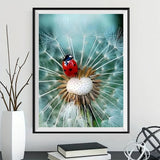 Löwenzahn 5d Diy Diamond Painting Diamant Malerei Set VM9770
