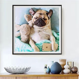 Hund 5d Diy Diamond Painting Diamant Malerei Set VM9474