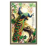 Pfau 5d Diy Diamond Painting /Diamant Malerei Set VM8166