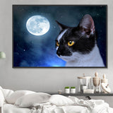 Katze 5d Diy Diamond Painting Diamant Malerei Set DE173645254
