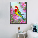 Papagei 5d Diy Diamond Painting Diamant Malerei Set DE99878408