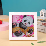 Einfach für Kinder Diamond Painting Kits Anfänger Kunsthandwerk mit Rahmen DP8027
