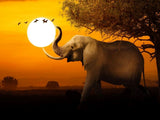 Elefant 5d Diy Diamond Painting Diamant Malerei Set DS150273961