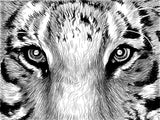 Tiger 5d Diy Diamond Painting Diamant Malerei Set DS19919613