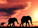Elefant 5d Diy Diamond Painting Diamant Malerei Set DS2242692