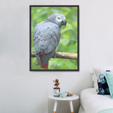 Papagei 5d Diy Diamond Painting Diamant Malerei Set DS31335096