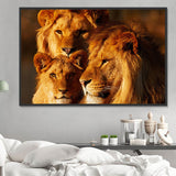 Löwe 5d Diy Diamond Painting Diamant Malerei Set DS50869952