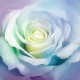 Rose 5d Diy Diamond Painting Diamant Malerei Set DS52656977