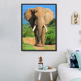 Elefant 5d Diy Diamond Painting Diamant Malerei Set DS967391