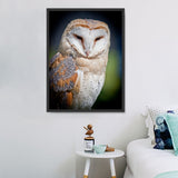 Eule 5d Diy Diamond Painting Diamant Malerei Set IT498832277