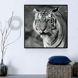 Tiger 5d Diy Diamond Painting Diamant Malerei Set IT499452943