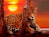 Leopard 5d Diy Diamond Painting Diamant Malerei Set IT513873440