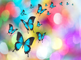Schmetterling 5d Diy Diamond Painting Diamant Malerei Set IT613536492