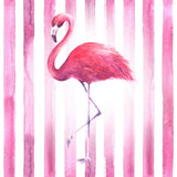 Flamingo 5d Diy Diamond Painting Diamant Malerei Set IT892716744