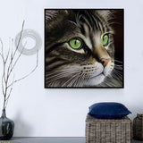 Katze 5d Diy Diamond Painting Diamant Malerei Set MJ1003