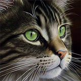 Katze 5d Diy Diamond Painting Diamant Malerei Set MJ1003