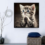 Katze 5d Diy Diamond Painting Diamant Malerei Set MJ1006