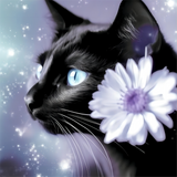 Katze 5d Diy Diamond Painting Diamant Malerei Set MJ1008