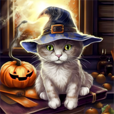 Katze 5d Diy Diamond Painting Diamant Malerei Set MJ1011