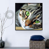 Katze 5d Diy Diamond Painting Diamant Malerei Set MJ1016