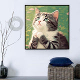 Katze 5d Diy Diamond Painting Diamant Malerei Set MJ1044